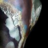 Rücken Bodypainting mit Phantasie bei Atelier Muschka Bodypainting Atelier Berlin